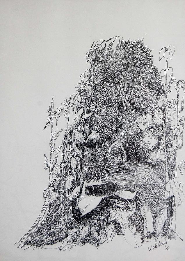 Out of the woods Drawing by Wade Clark