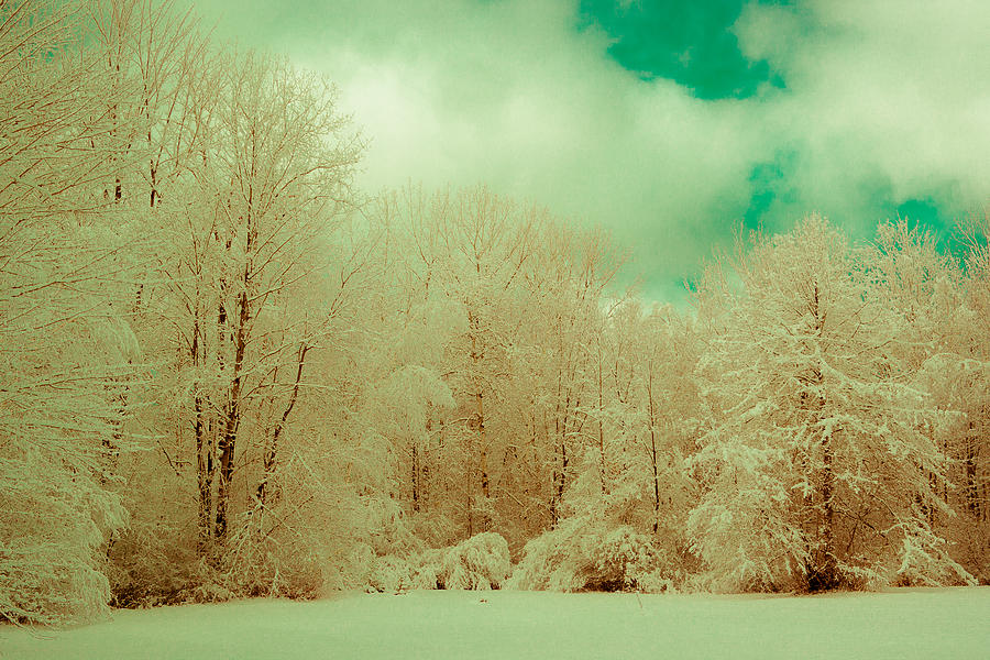 Winter Photograph - Out Of Time  by Kristin Hunt