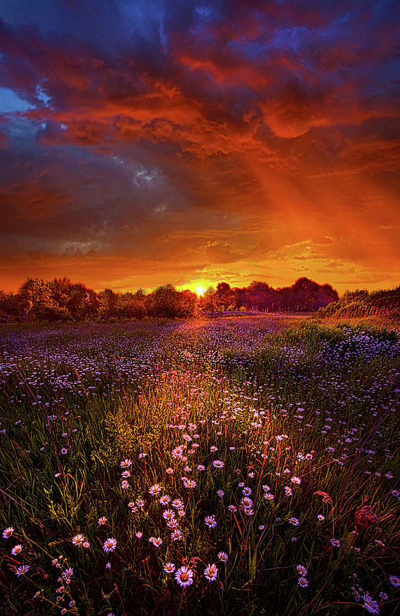 Spring Photograph - Out on the Edge of Day by Phil Koch