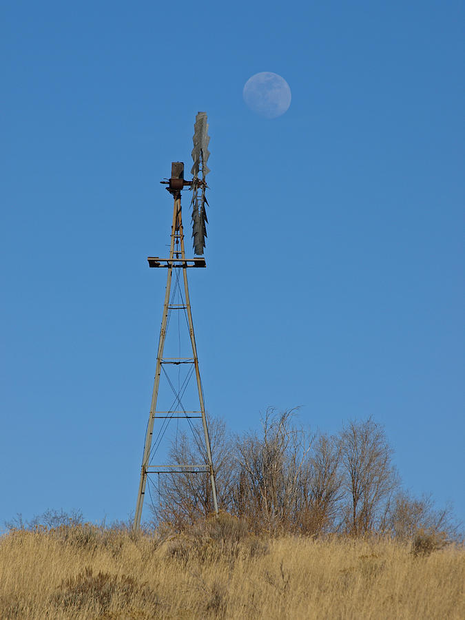 Out On The Prairie Photograph by DeeLon Merritt