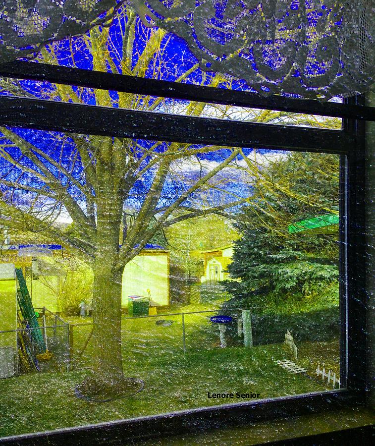 Out the Kitchen Window Digital Art by Lenore Senior