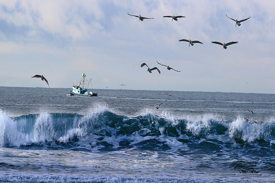 Out to Sea Photograph by David Salter