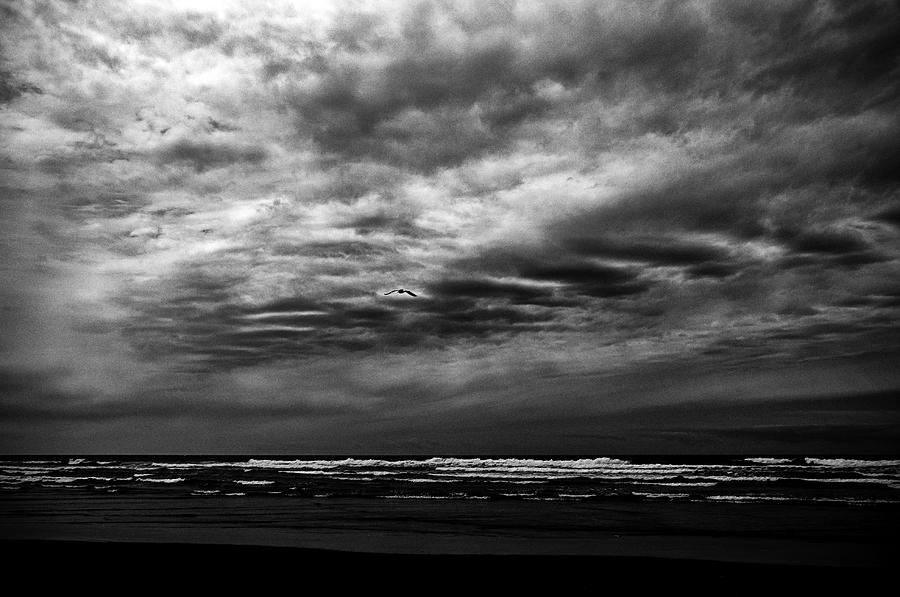 Black And White Photograph - Out To Sea by  Kelly Hayner