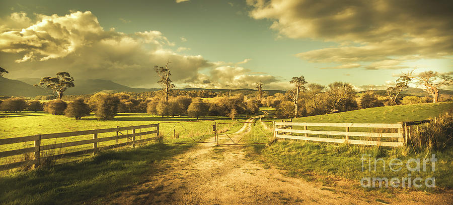 Outback country paddock Photograph by Jorgo Photography