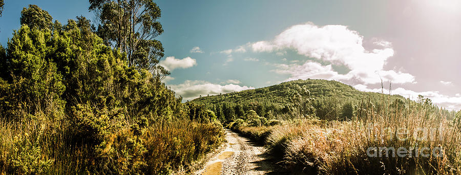Outback country road panorama Photograph by Jorgo Photography