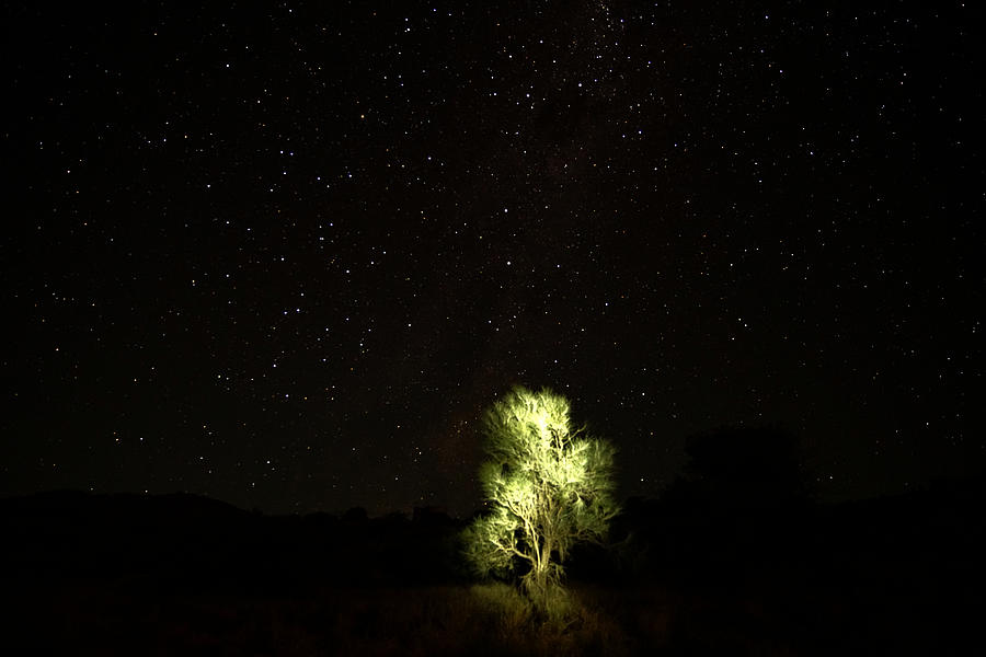 Outback Light Photograph by Paul Svensen