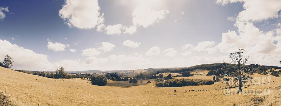 Fall Photograph - Outback Ridgley in scenic Tasmania, Australia by Jorgo Photography