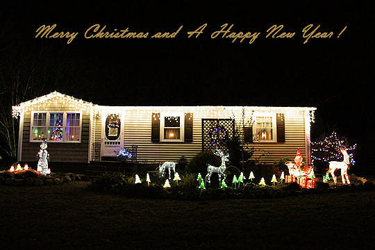 Festive Christmas Card Photograph by Sandra Huston