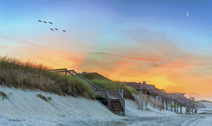 Bird Photograph - Outer Banks At Sundown by Brian Wallace