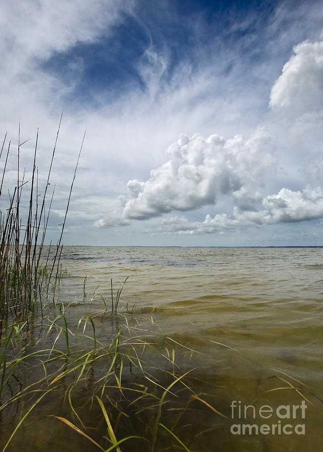 Water Photograph - Outer Banks Coastline by Matt Tilghman Water Photograph - Outer Banks Coastline by Matt Tilghman