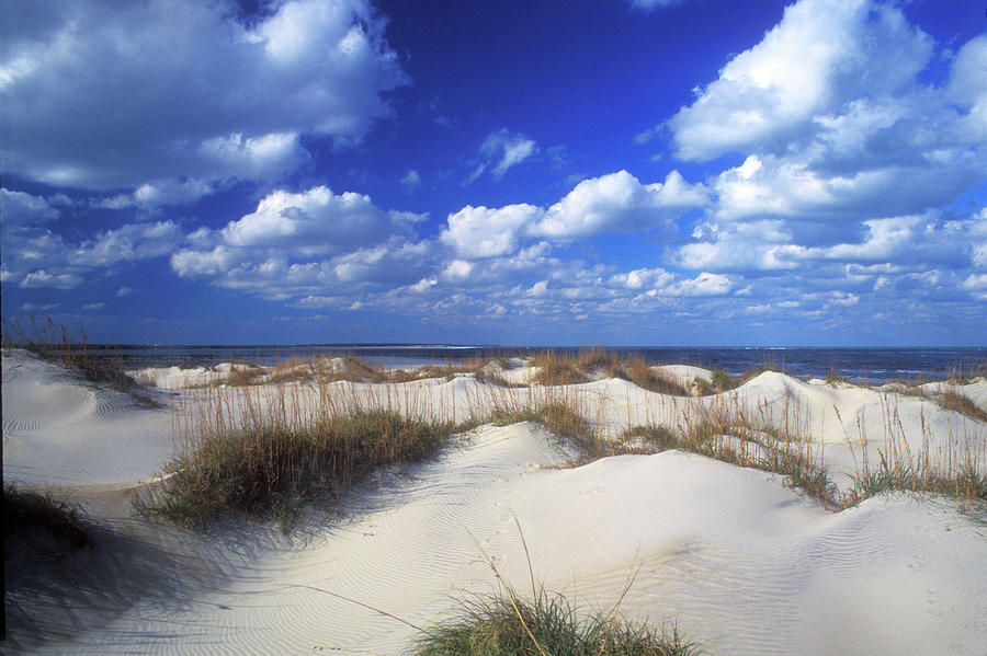 Outer Banks Dunes Photograph by John Burk