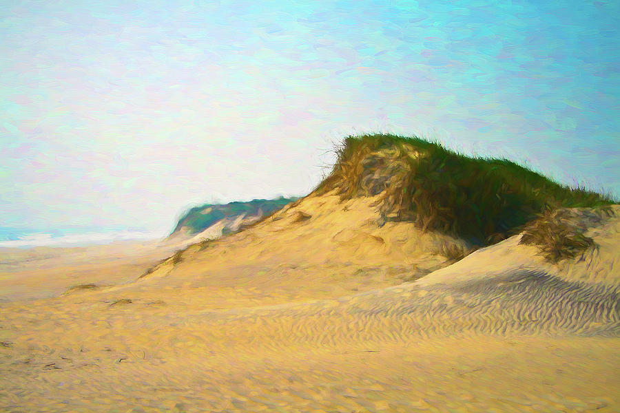 Outer Banks Sand Dune Digital Art by Barry Wills