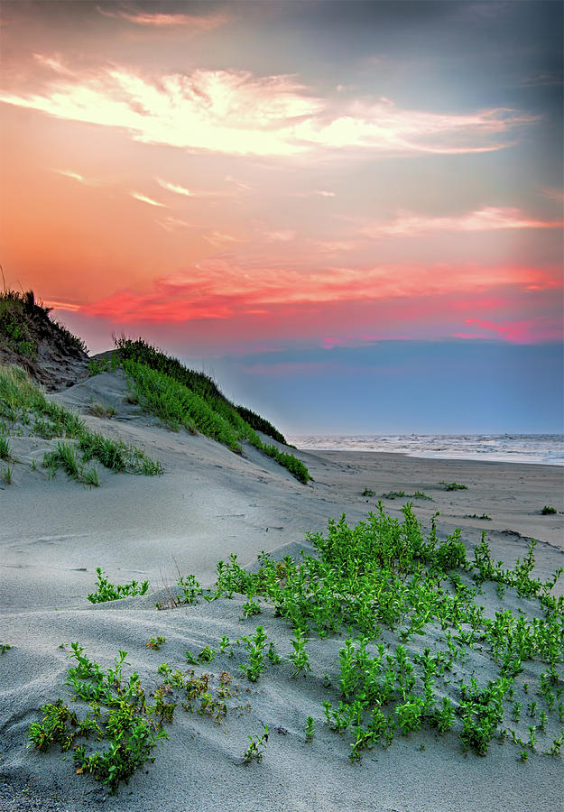 Outer Banks Sand Dune Sunrise Photograph by Dan Carmichael