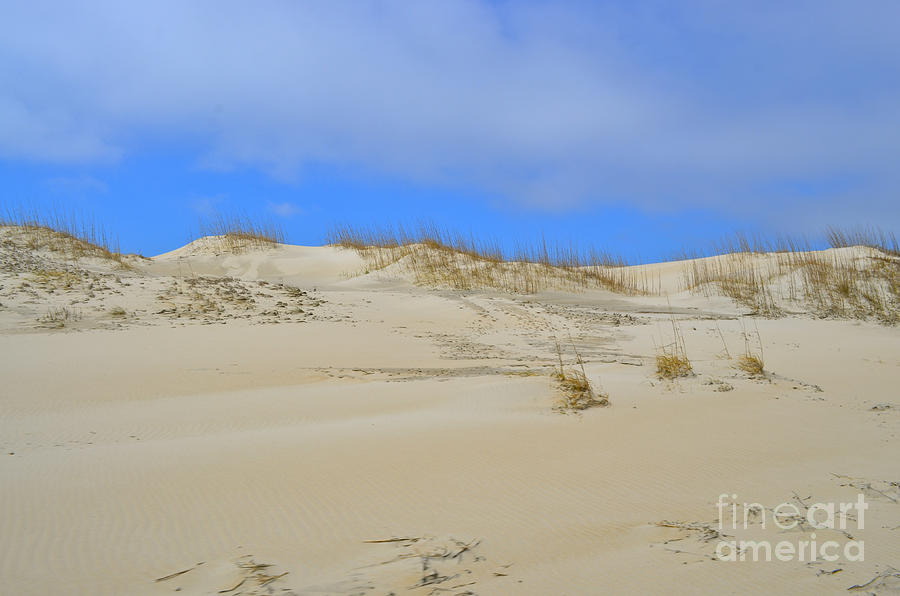 Outer Banks Sand Dunes No. 22 Photograph
