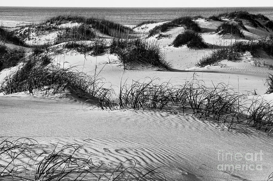 Outer Banks Sand Hills 2 Photograph by Bob Phillips