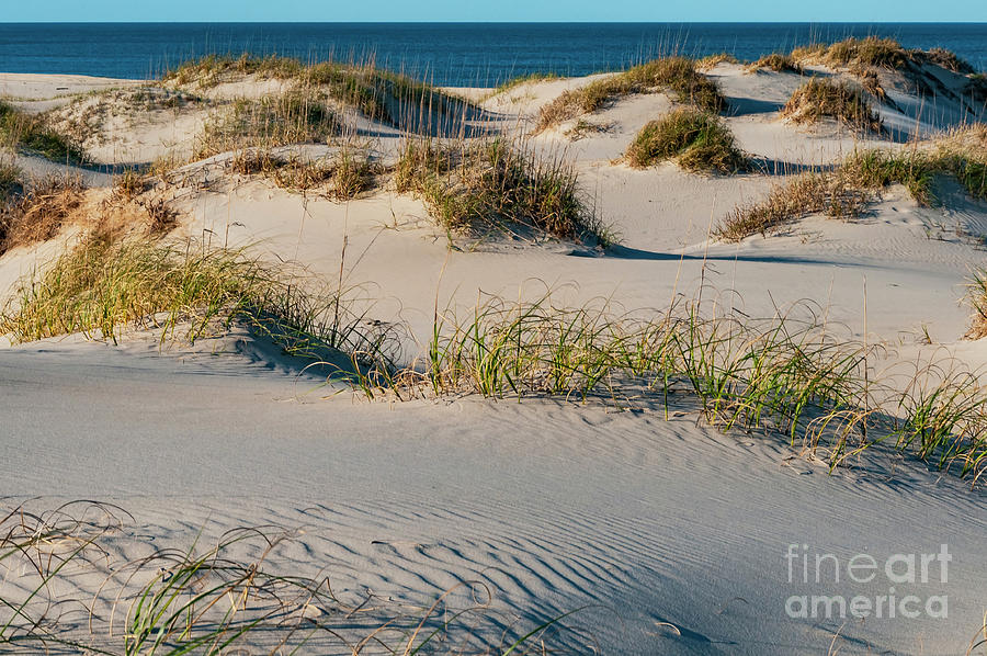 Outer Banks Sand Hills Photograph by Bob Phillips
