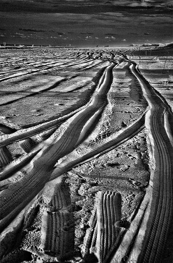 Outer Banks Tracks  BW Photograph by Dan Carmichael