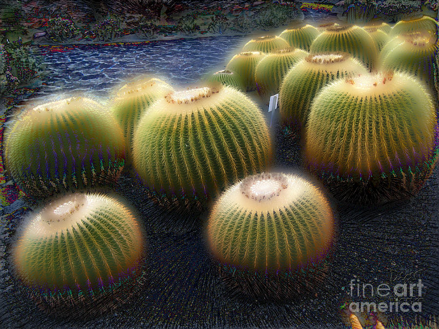 Outer Space Cacti Photograph by Dee Flouton