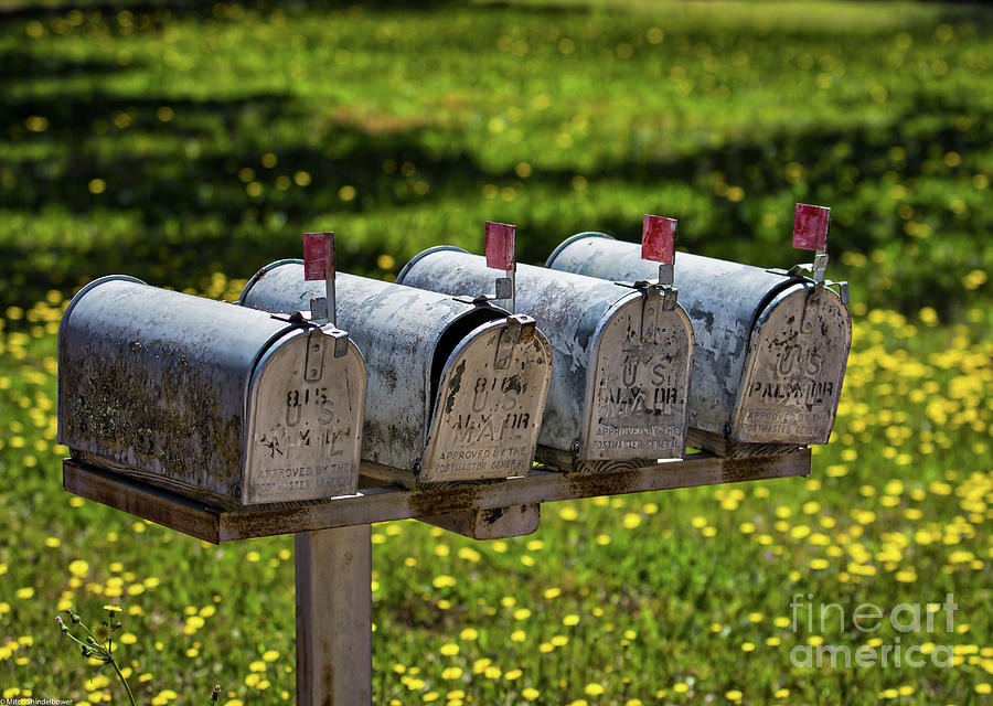 Outgoing Mail Photograph by Mitch Shindelbower