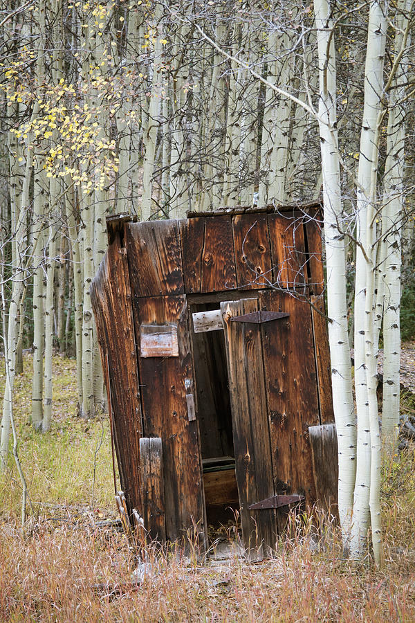Outhouse in the Aspens Photograph by Catherine Avilez