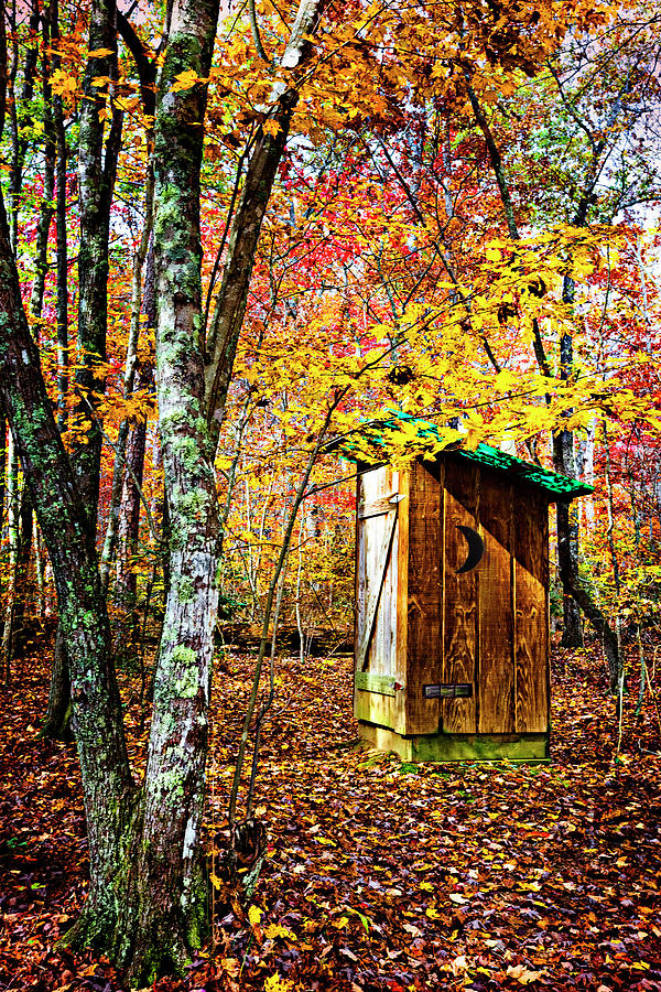 Outhouse in the Forest Photograph by Debra and Dave Vanderlaan