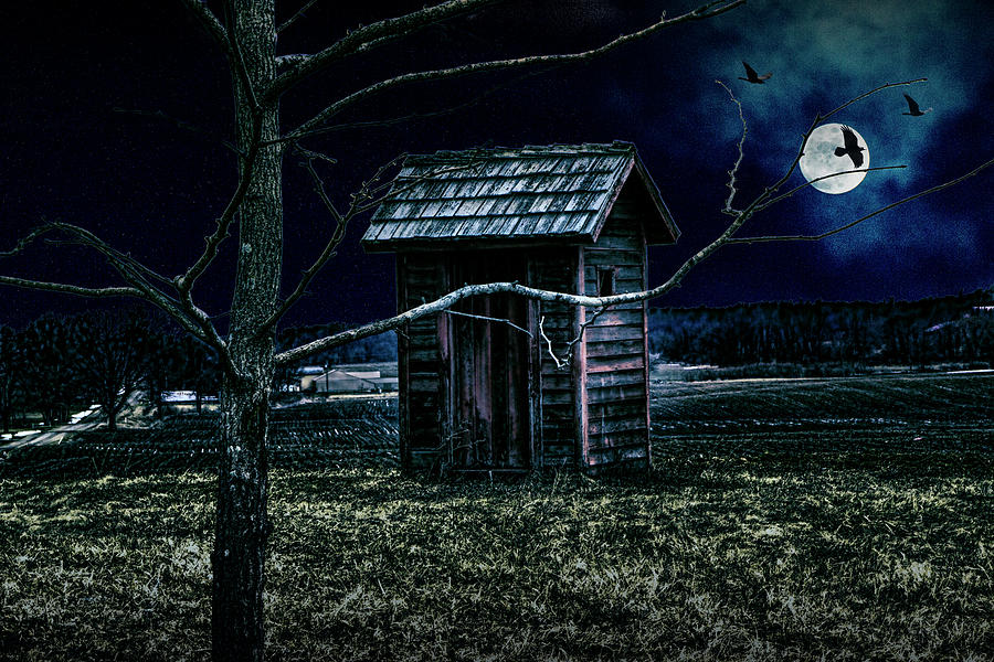 Outhouse in the Moonlight with flying Crows Photograph by Randall Nyhof