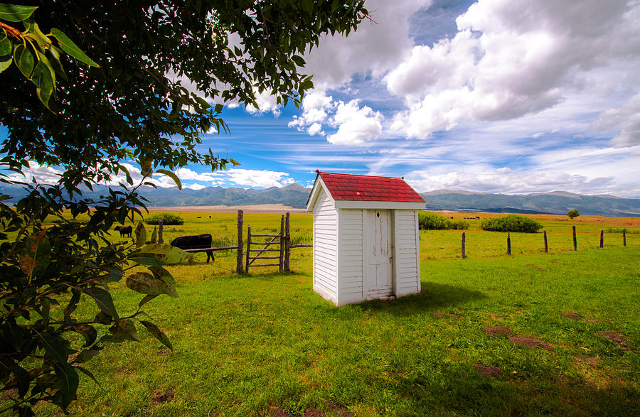 Outhouse Photograph by Tim Reaves