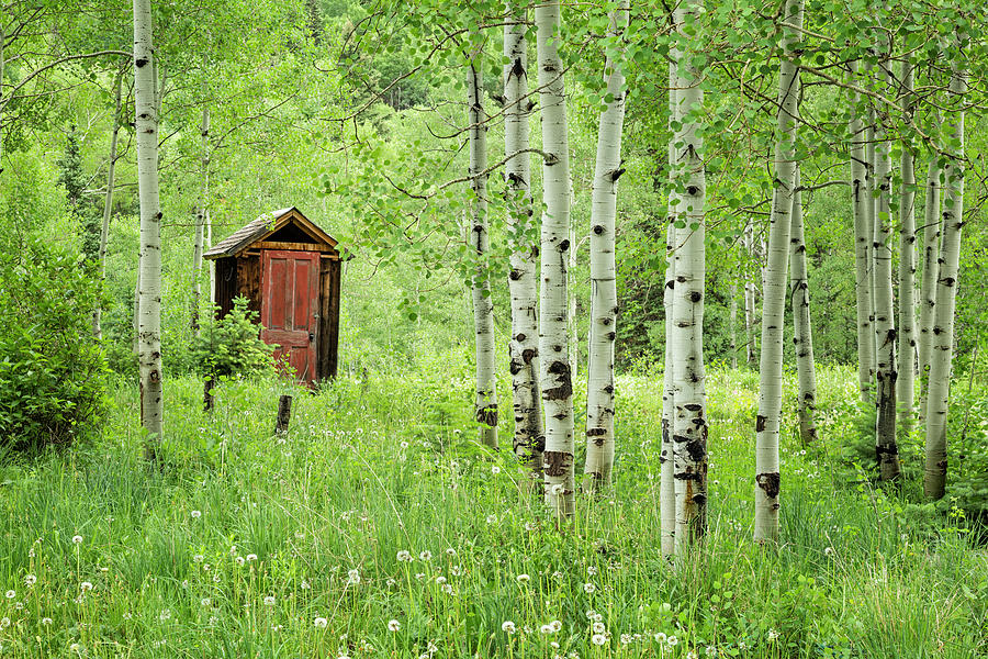 Outhouse With Red Door Photograph by Denise Bush