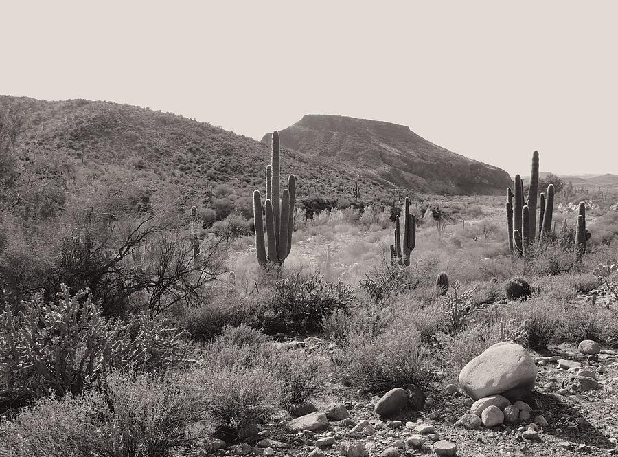 Outlaw Territory Photograph by Gordon Beck - Fine Art America