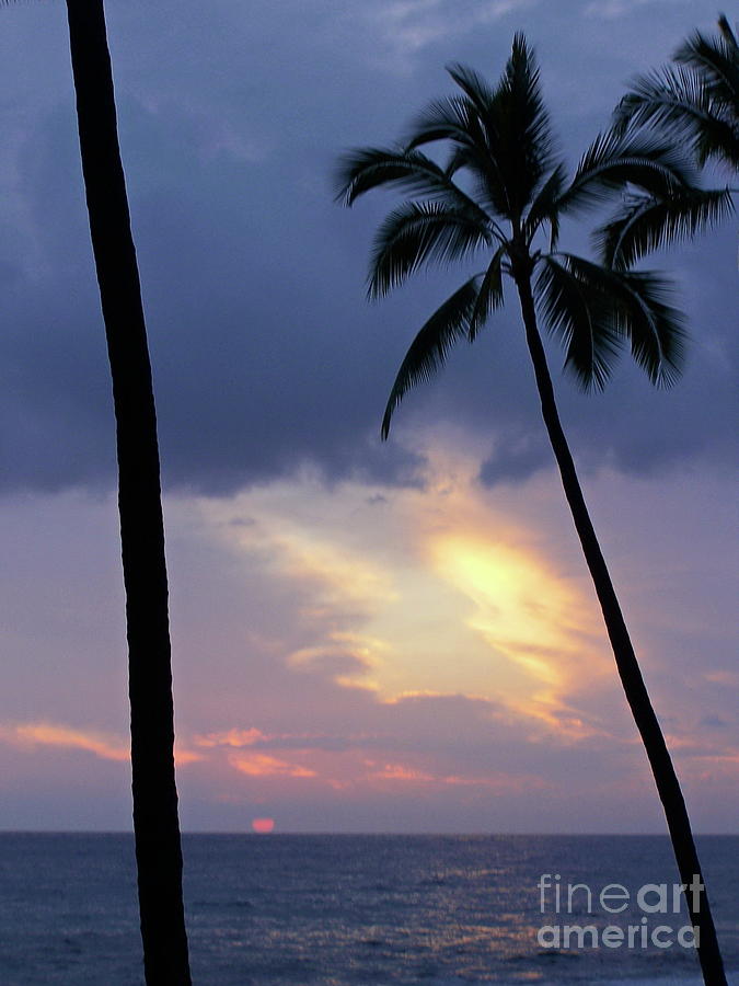 Outrigger palms sunset rift  Photograph by Priscilla Batzell Expressionist Art Studio Gallery