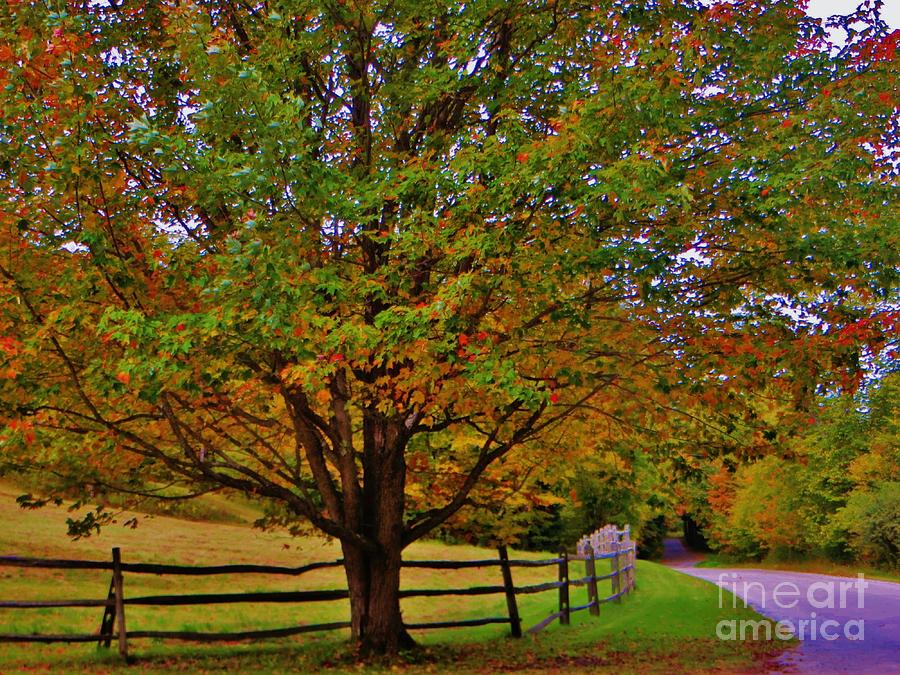 Nature Photograph - Country Road, Take Me Home by Sugar Mountain Studio