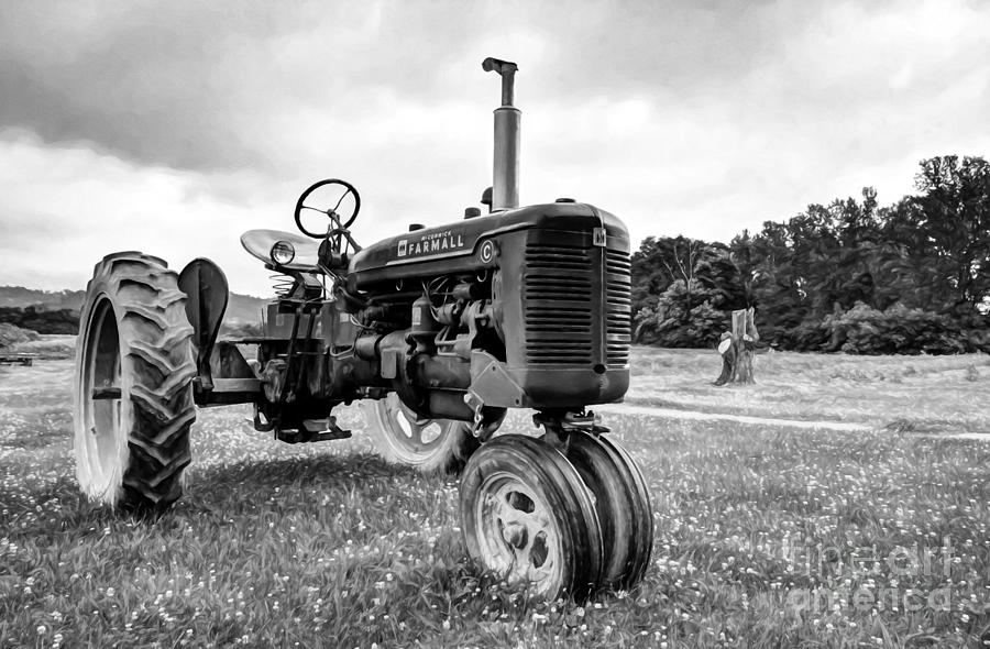 Outstanding In Its Field Black and White Photograph by Mel Steinhauer