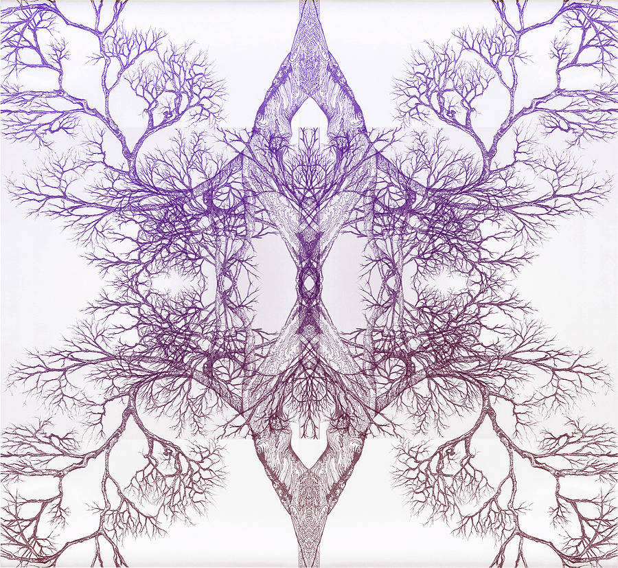 Outward Tree 9 Hybrid 4 Digital Art by Brian Kirchner