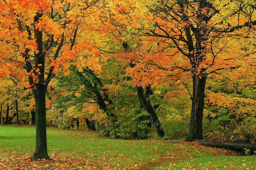 Outwater Park Fall Color Photograph by Dean Hueber - Fine Art America