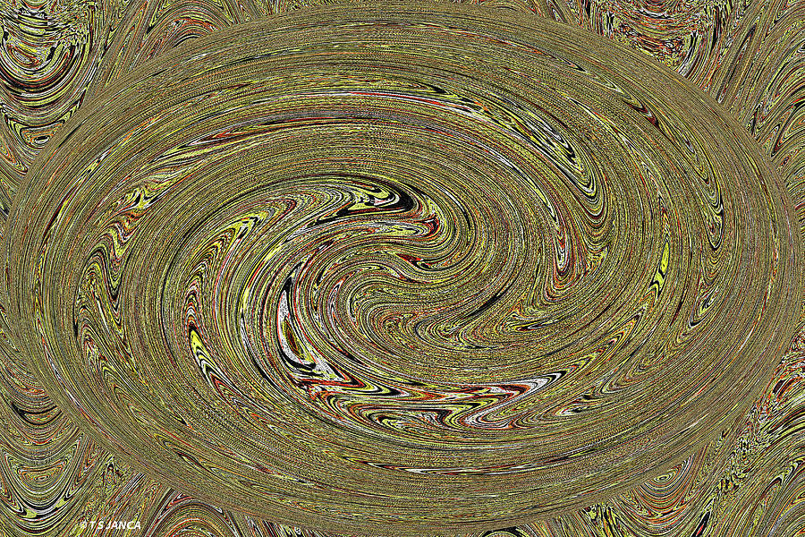 Oval Abstract Panel 6150-5 Digital Art by Tom Janca