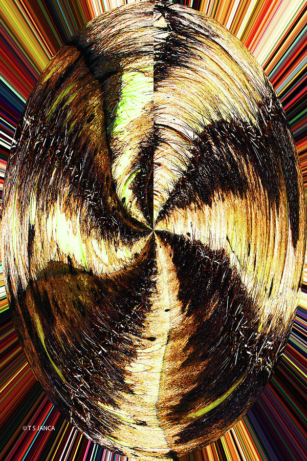 Oval Saguaro Skin Abstract Digital Art by Tom Janca