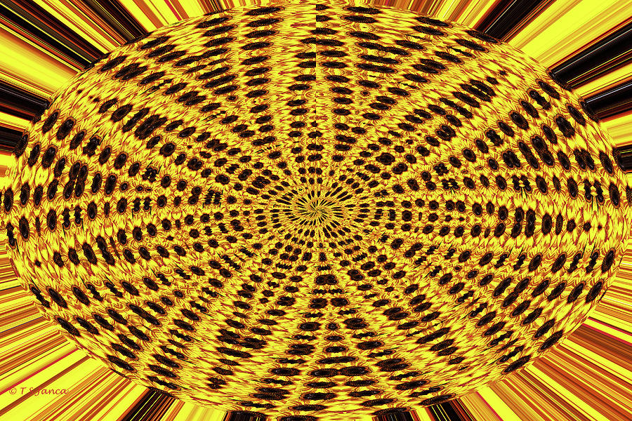 Oval Sunflower Abstract Digital Art by Tom Janca