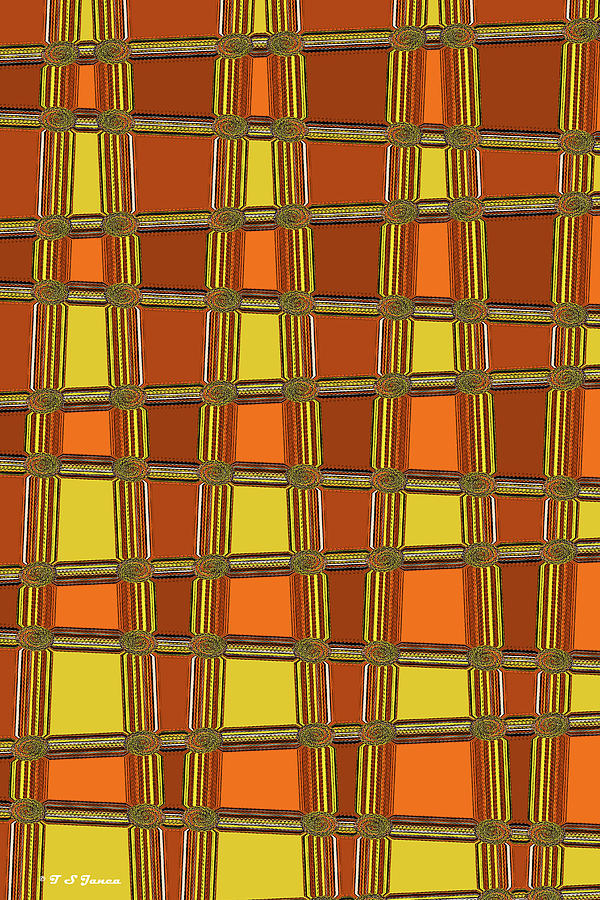 Oval Yellow Orange Black And White Abstract,#4 Digital Art by Tom Janca