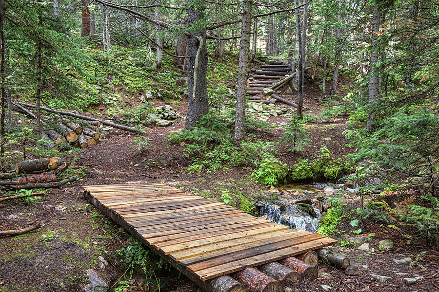 Landscape Photograph - Over the Bridge and Through the Woods by James BO Insogna