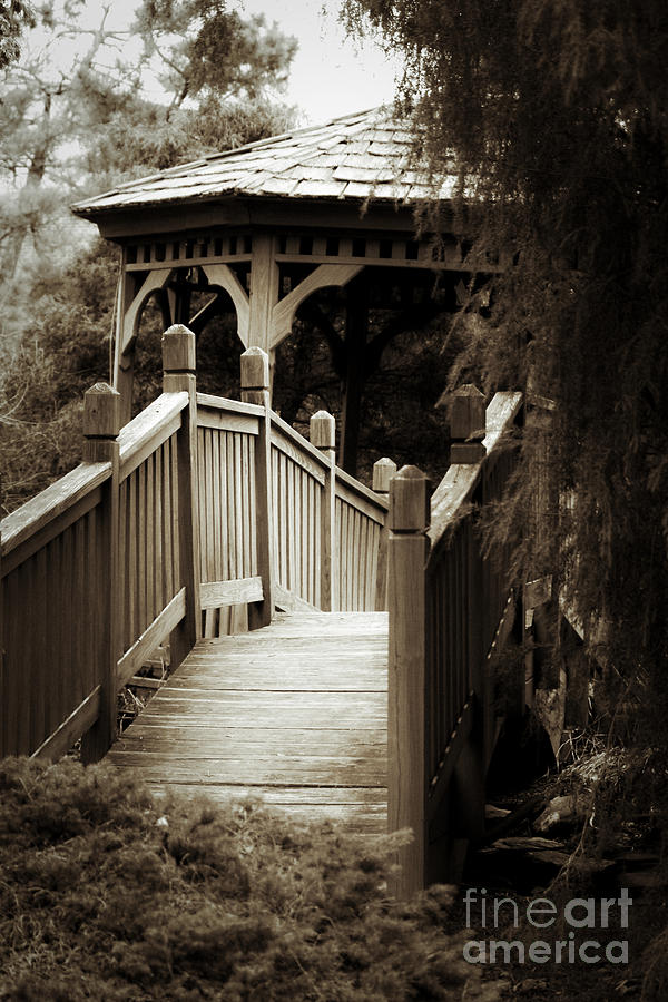 Over The Bridge Photograph by Karin Everhart