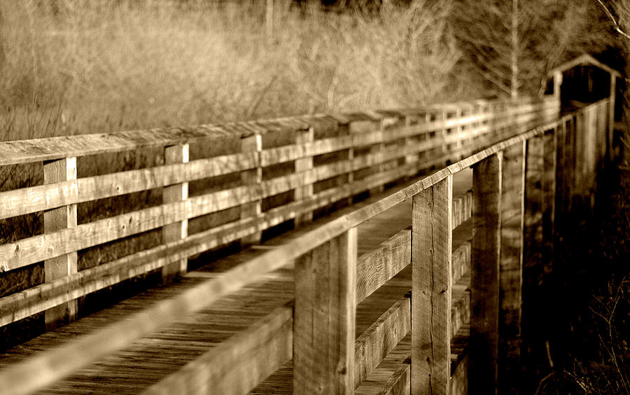 Over the Bridge - sepia Photograph by Marilyn Wilson