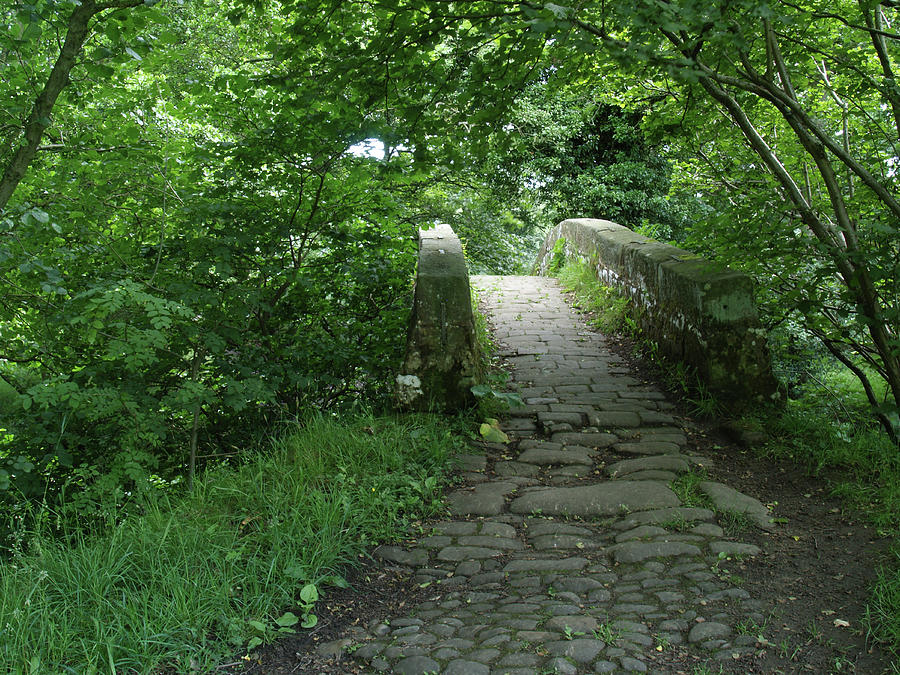 Bridge Photograph - Over The Bridge by Steve Watson Bridge Photograph - Over The Bridge by Steve Watson