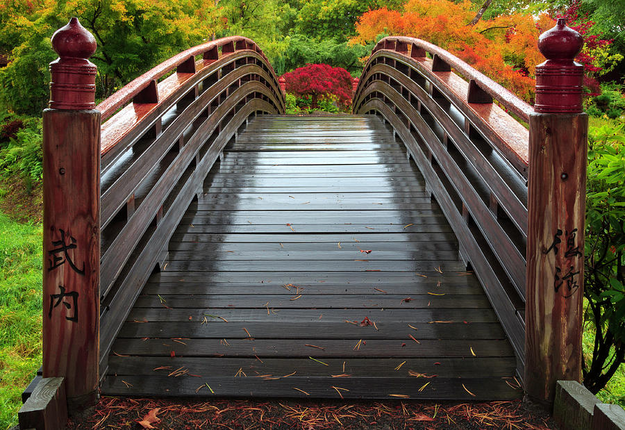 Over the bridge to Fall by Hans Franchesco Over the bridge to Fall by Hans Franchesco