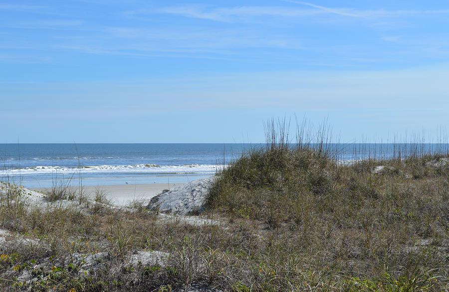 Over the Dunes to the Beach at Jacksonville Beach, Florida Photograph ...