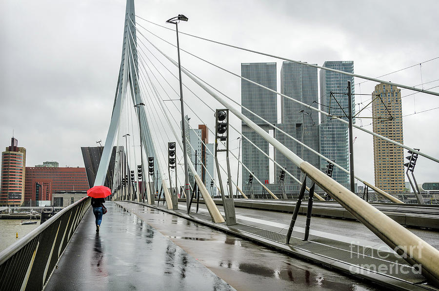 Over the Erasmus Bridge in Rotterdam with red umbrella Photograph by RicardMN Photography