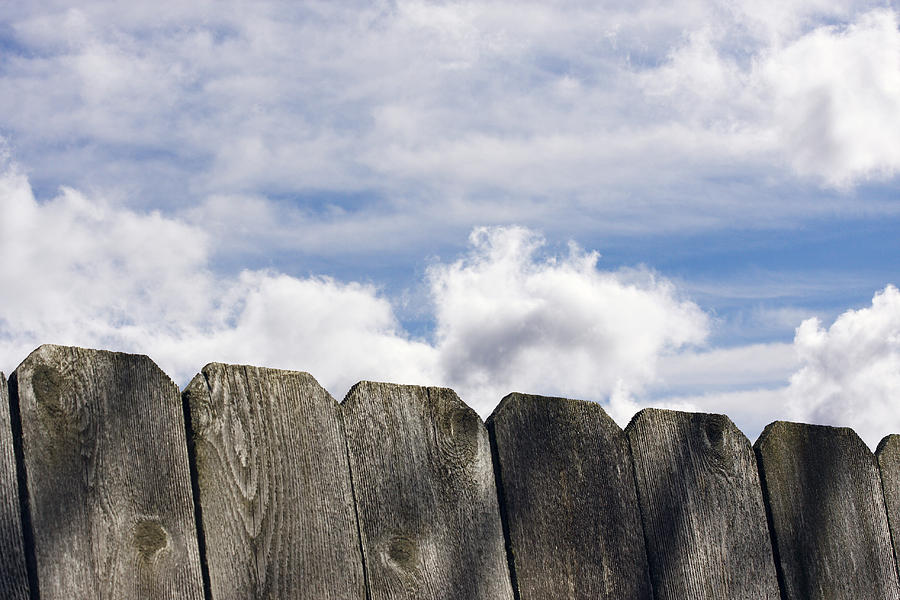 Fence Photograph - Over the Fence by Rebecca Cozart