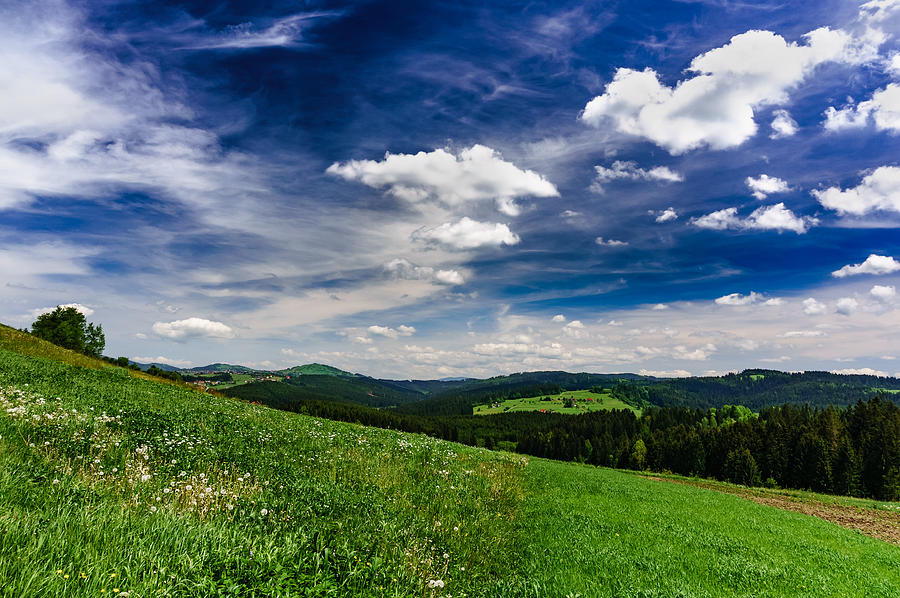 Over the Green Hills Photograph by Dmytro Korol