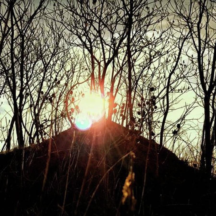 Tree Photograph - Over The #hills &far Away
#sun #trees by Bradley Nelson