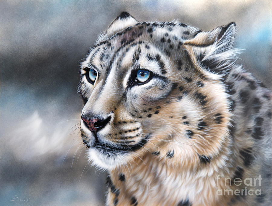 Wildlife Painting - Over the Mountain by Sandi Baker