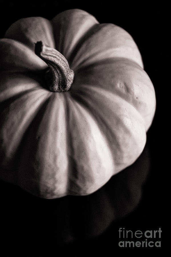 Pumpkin Photograph - Over The Pumpkin by Joe Geraci